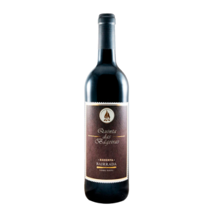 Quinta das Bágeiras Reserva Tinto Magnum